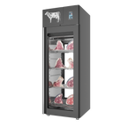 Stagionello® Dry-Age 3.0 700 L dry-aging cabinet with 2-sided glass, photo 9 of 12